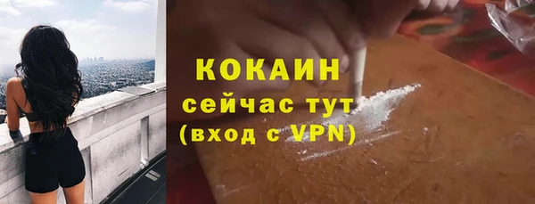 прущие грибы Аркадак