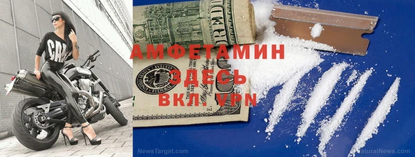 ПСИЛОЦИБИНОВЫЕ ГРИБЫ Арсеньев