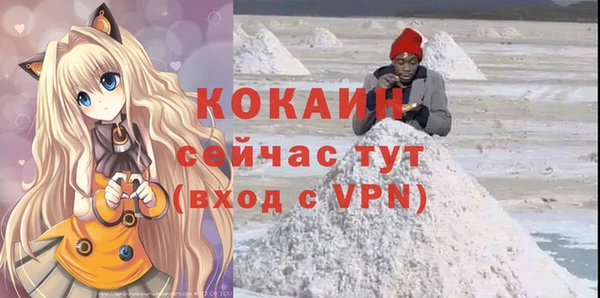ПСИЛОЦИБИНОВЫЕ ГРИБЫ Арсеньев