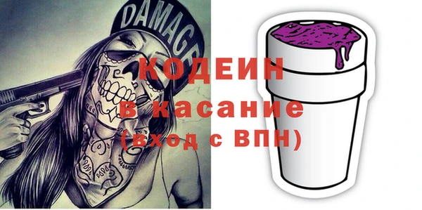 ПСИЛОЦИБИНОВЫЕ ГРИБЫ Арсеньев