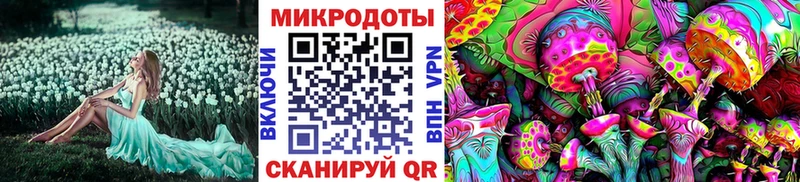 blacksprut онион  Белозерск  Галлюциногенные грибы MAGIC MUSHROOMS 